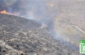 ep incendiohuercalalmeria