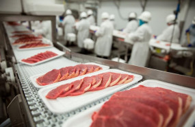 ep la industria carnica cree que un impuesto sobre la carne penalizaria a las familias mas modestas