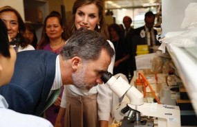 ep los reyes encentroinvestigacion francis crick