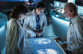 shutterstock 2456036643 1