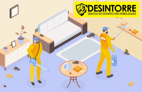 1626434175 desintorre 1626434175 desintorre