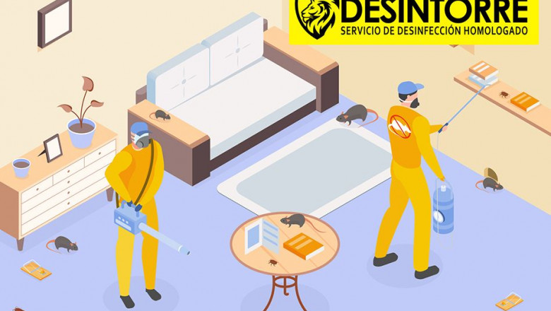 1626434175 desintorre