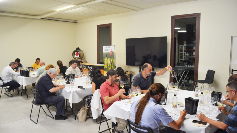 dsc 0464 20250718151147 