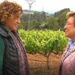 ep 26m- montserrat pasajornadareflexion dandopaseo ruralfamiliasan sadurni barcelona ep 26m- montserrat pasajornadareflexion dandopaseo ruralfamiliasan sadurni barcelona