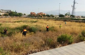 ep dispositivobusqueda hombre anciano torremar velez voluntarios desaparec