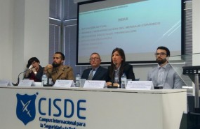 ep ii encuentroexpertosseguridaddefensasevilla