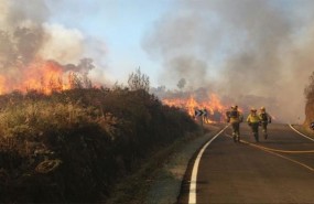 ep incendio forestalla nava