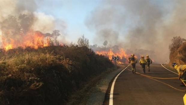 ep incendio forestalla nava