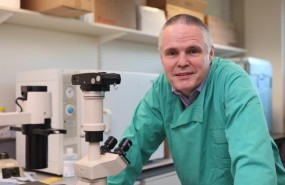 ep profesor richard morgan director institutoterapeuticacancer universi