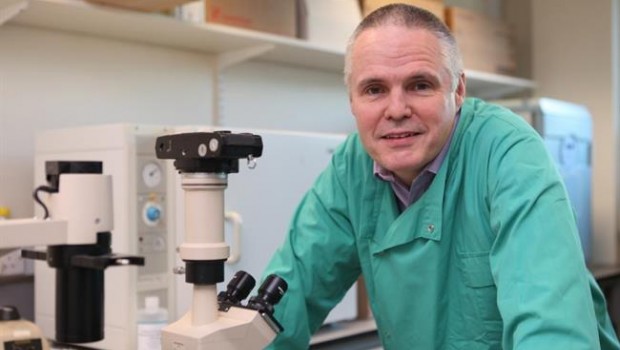 ep profesor richard morgan director institutoterapeuticacancer universi