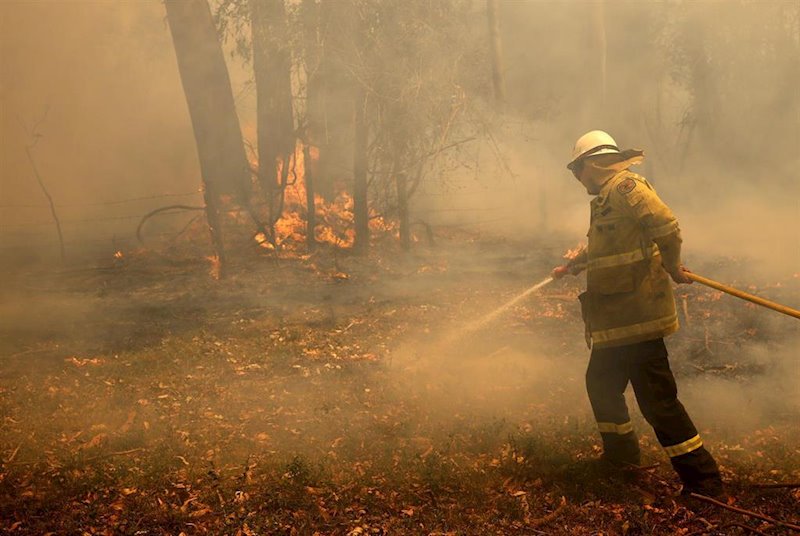 ep un bombero trabajado en el apagado de los incendios forestales en nueva gales del sur