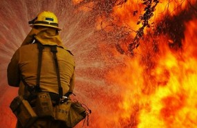fireman fireman