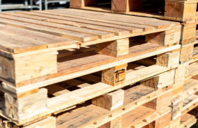 123   2023 05 18t143631063 