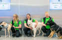 cbperro covid11 cbperro covid11