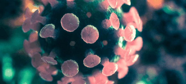 coronaviruscbgripe