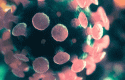 coronaviruscbgripe coronaviruscbgripe