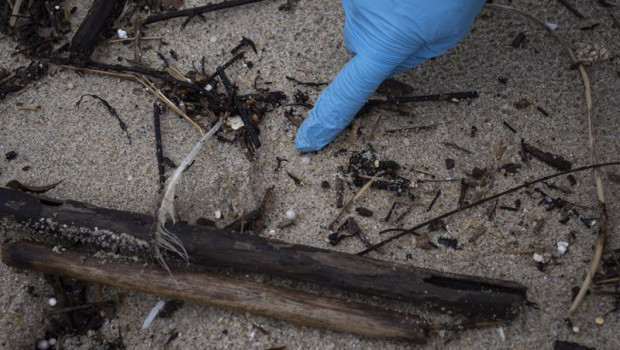 ep archivo   un voluntario recoge pellets en la playa de samil a 10 de enero de 2024 en vigo
