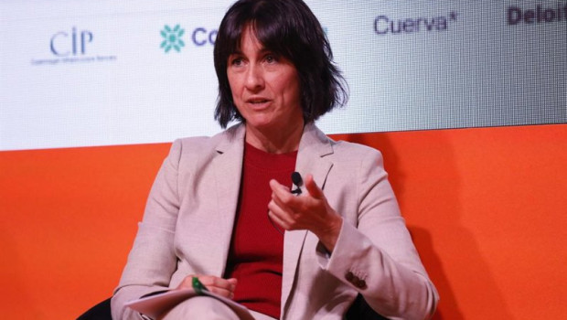 ep directora general del fenie energia paula roman