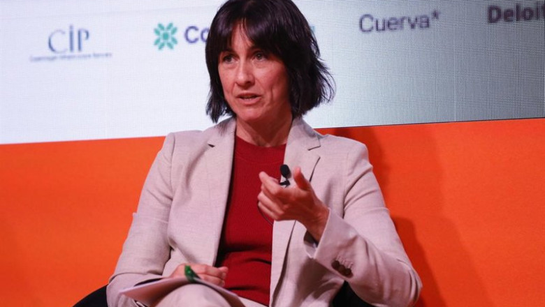 ep directora general del fenie energia paula roman ep directora general del fenie energia paula roman
