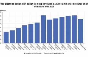 ep evolucion del beneficio neto atribuido de red electrica hasta 2020 cnmv