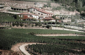 ep finca a vilerna