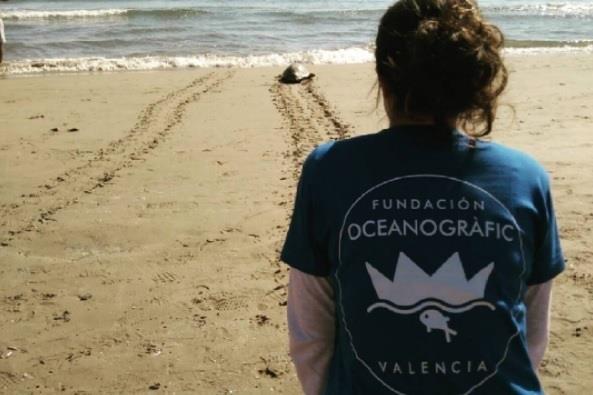Fundación Oceanogràfic | OCEANOGRÀFIC ep fundacion oceanogrfic