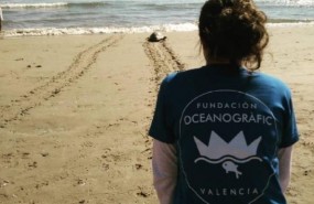 ep fundacion oceanogrfic