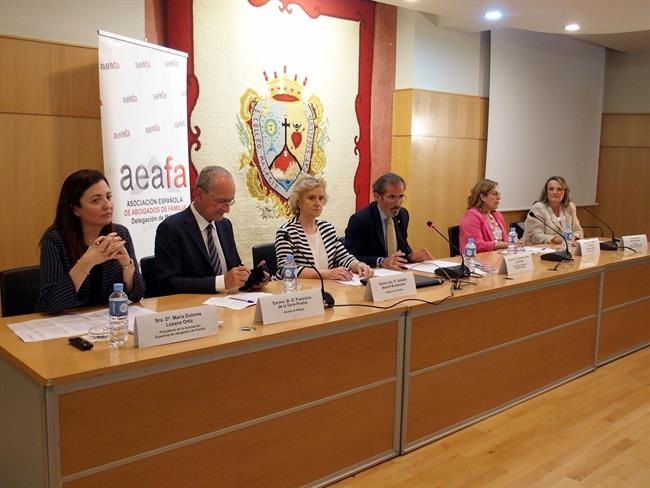Jornadas maternidad subrogada de la Aeafa en Málaga | EUROPA PRESS/ICAMÁLAGA ep jornadas maternidad subrogadala aeafamalaga