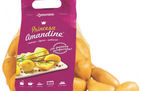 ep la marca de patatas princesa amandine desembarca en el mercado iberico con socios espanoles y