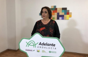ep la portavoz adjunta de adelante andalucia angela aguilera en una rueda de prensa foto de archivo