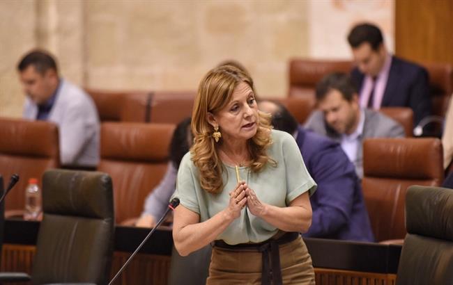 Marina Álvarez en el Pleno del Parlamento | CONSEJERÍA DE SALUD ep marina alvarezplenoparlamento