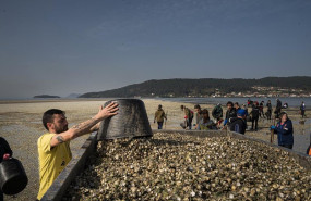 ep marisacadores recogen el marisco muerto en la playa del testal a 4 de marzo de 2026 en noia la