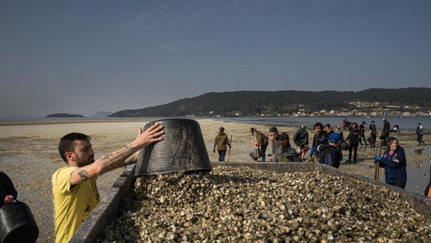 ep marisacadores recogen el marisco muerto en la playa del testal a 4 de marzo de 2026 en noia la