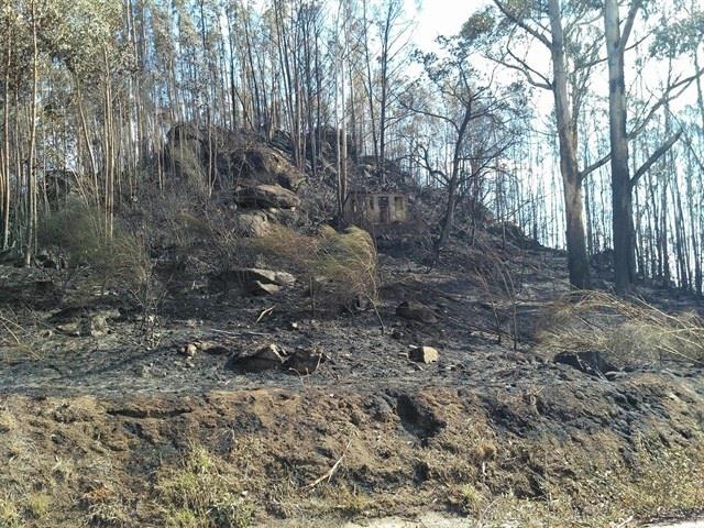 Suelo calcinado en un incendio en Galicia | EUROPA PRESS ep suelo calcinadoun incendiogalicia