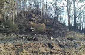 ep suelo calcinadoun incendiogalicia