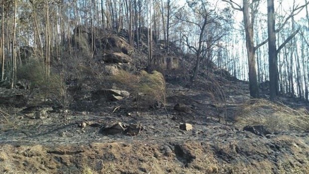 ep suelo calcinadoun incendiogalicia