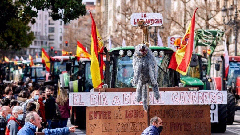 Tractorada de ganaderos cántabros en Santander en protesta por el bajo precio de la leche, la protección del lobo y los elevados costes de producción. | JUAN MANUEL SERRANO ARCE/EUROPA PRESS ep tractorada de ganaderos cantabros en santander en protesta por el bajo precio de la leche la