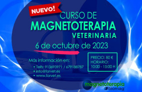 magnetoterapia magnetoterapia