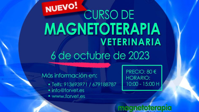 magnetoterapia