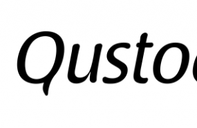 1574946873 logo qustodio1