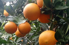 1614619907 foto para nota de prensa 1614619907 foto para nota de prensa