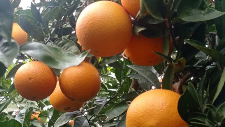 1614619907 foto para nota de prensa