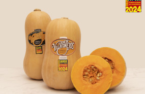 catalogo sabor24 1 20240215171046 catalogo sabor24 1 20240215171046