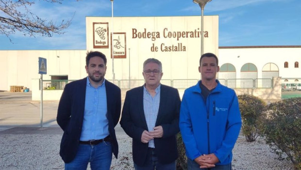 ep aldea energy instalara una comunidad solar para la bodega cooperativa de castalla alicante