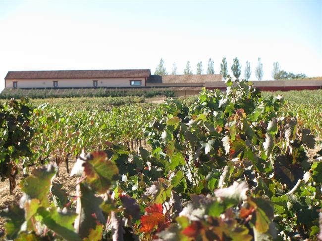 ep bodegas valderiz