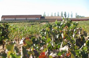 ep bodegas valderiz