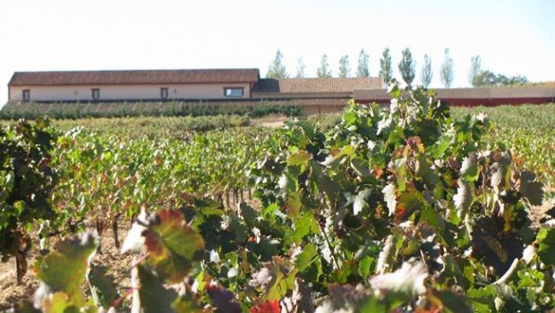 ep bodegas valderiz