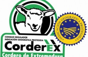ep las canales certificadas en los mataderos siempre llevaran un precinto de garantia numerado en el