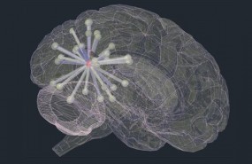 ep propagacionla proteina taucerebroun pacientealzheimer