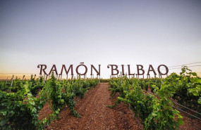 ep vinedos de bodegas ramon bilbao